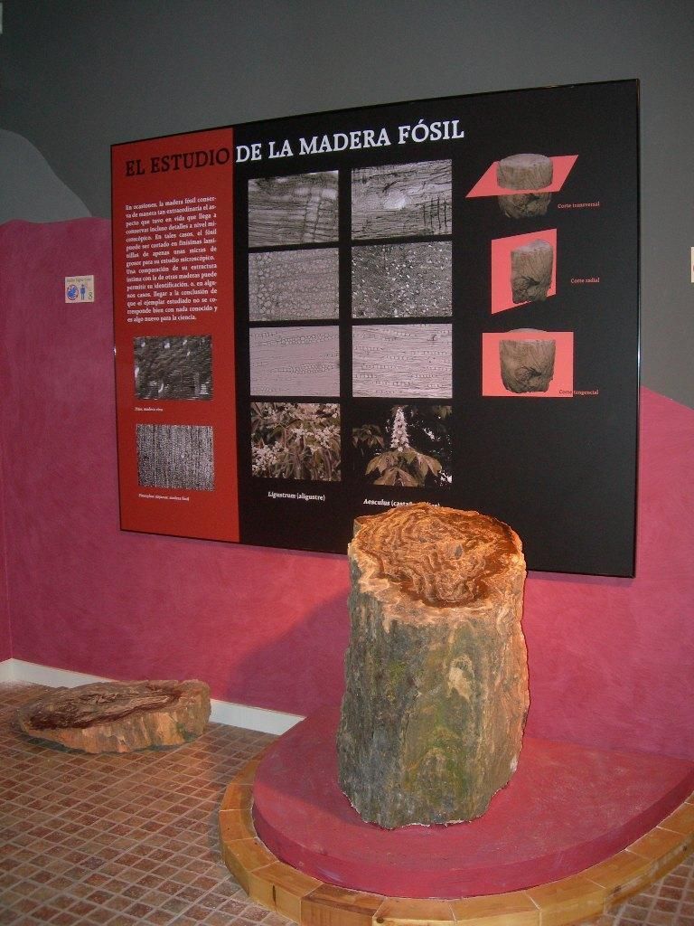 Centro de visitantes Árbol Fósil